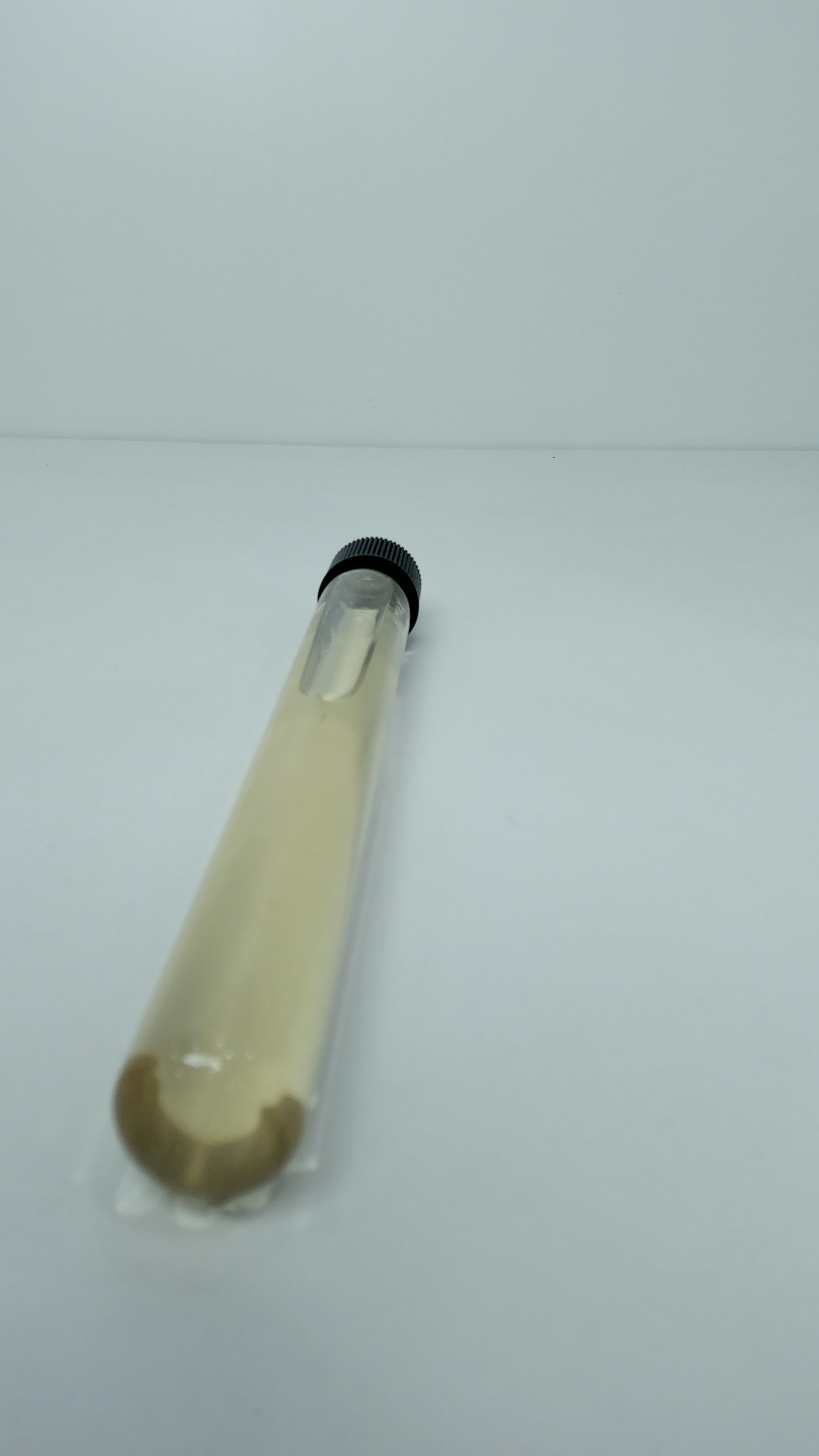 Tubo de Cultivo con Tapa Rosca 20 X 150mm