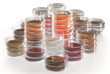 NKS/NPS Contiene: Cetrimida + Petri 60mm + Almohadilla + Membrana Blanca 0.45 um
